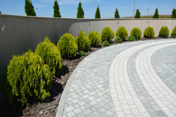 Reasons to Select Us for Your Driveway Paving Requirements in Sardinia, OH